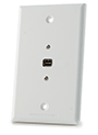 Mini DisplayPort Wall Plate Single