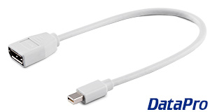 Mini-DisplayPort to DisplayPort Adapter