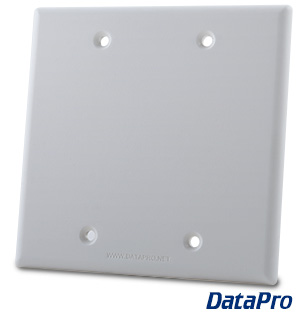 Blank 2-Gang Wall Plate