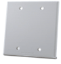 Blank 2-Gang Wall Plate