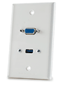 VGA & USB Wall Plate