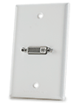 DVI Wall Plate