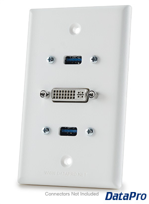DVI & Dual USB Wall Plate