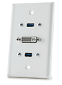 DVI & Dual USB Wall Plate