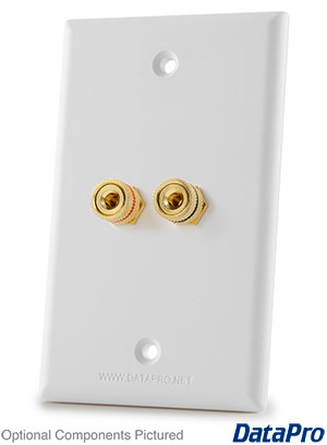 Speaker Binding Post Wall Plate