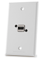 Waterproof USB Type-A Wall Plate