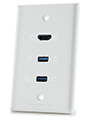 HDMI and 2x USB Wall Plate