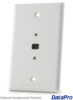 Mini DisplayPort Wall Plate Single