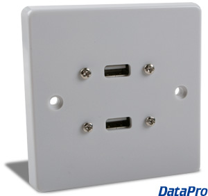 European Dual USB Wall-Plate