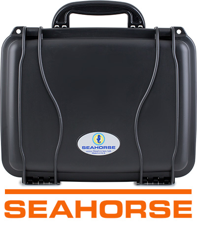 Custom Seahorse Case Panels