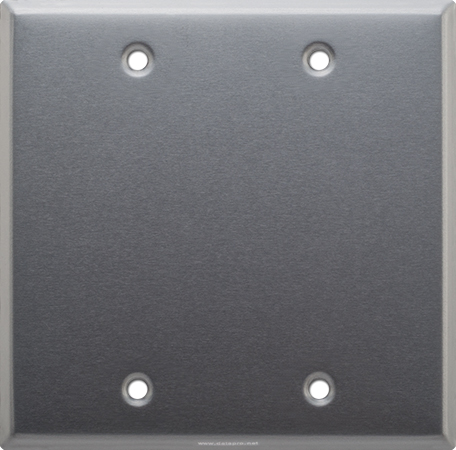 Aluminum Brushed 2-Gang