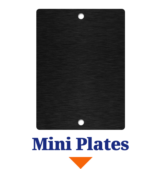 Mini Plates
